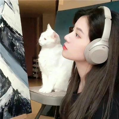 蜘蛛与郁金香